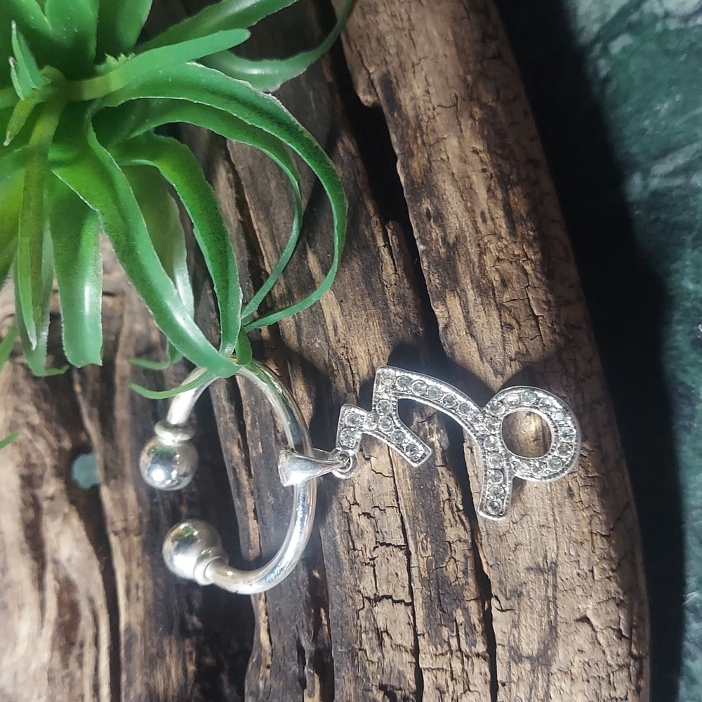 P058 Zodiac CAPRICORN Crystal Key Holder